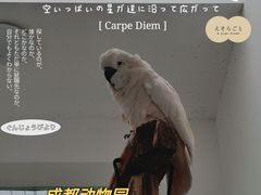 -成都动物园
