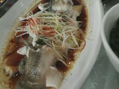 -大鸽饭(马王堆店)