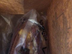 -酵墅·红酒酵母面包(羲和广场店)