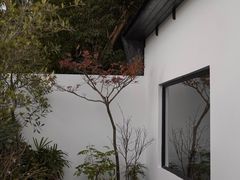 -自由生长植物工作室(深港花卉中心店)