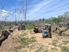 -亲兄弟真人CS团建拓展基地