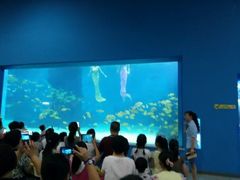 android_upload_pic-常州海昌海洋探索馆