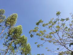 -候鸟水榕庄度假酒店