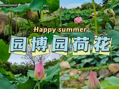 -厦门园林博览苑