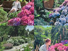 -TSS厄恩斯劳号蒸汽船