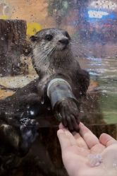 -Zoolung Zoolung动物主题公园(海信广场店)