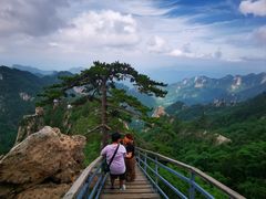 -尧山风景区
