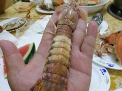 -春华海鲜城(广场西苑店)
