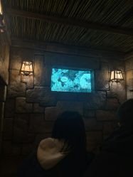 -翱翔飞越地平线