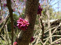 景点-望江楼公园