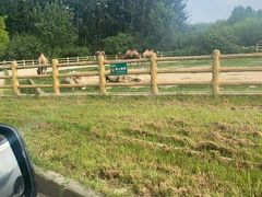 -石家庄市动物园