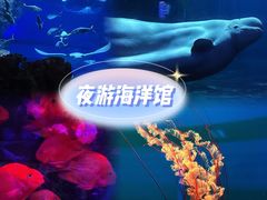 -北京海洋馆