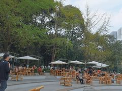 -成都市活水公园