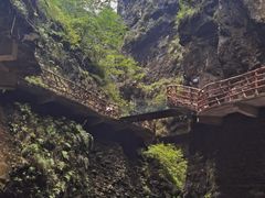 -鹿院坪生态旅游景区