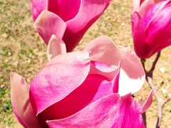 -永定河休闲森林公园