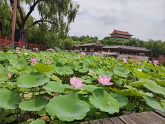 -大明幻境第一城