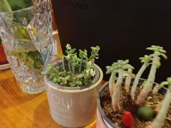 -粗粮人家·东北菜(洋桥店)