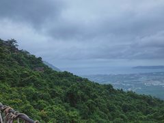 -亚龙湾热带天堂森林公园