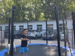 -爪吧宠物乐园·宠物泳池(温榆河示范区店)