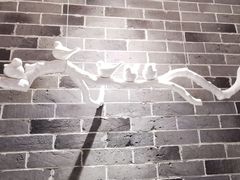 -乾州食府(小雁塔店)