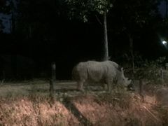 -清迈夜间动物园