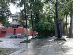 -洛阳白马寺