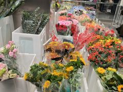-盒马X会员店(王府井奥莱UP TOWN店)