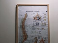 -优复医疗·骨科康复UP Clinic(陆家嘴院区)