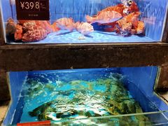 水产区-徐记海鲜(陕西历史博物馆|明德门店)