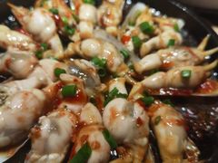 -鸽子窝(青塔店)