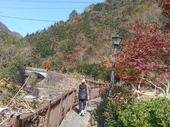 -太湖源风景区