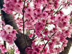 -梁鸿国家湿地公园