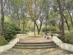-绿堤公园