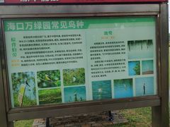 -万绿园