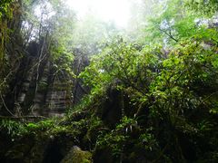 -梭布垭石林景区