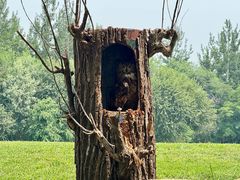 -北京野生动物园