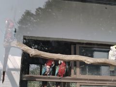 -苏州上方山国家森林公园