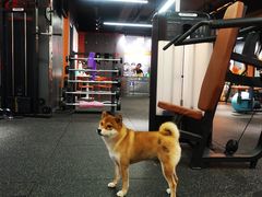 -博纳私人订制健身(中集美兰湖店)
