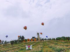 -川南大草原