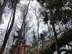 -东明山森林公园