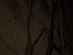 -鹤祥宫·影院足道·SPA连锁(鸿尊布吉店)
