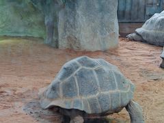 -上海动物园(地铁站)