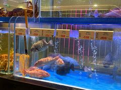 -南海渔村(珠江新城店)