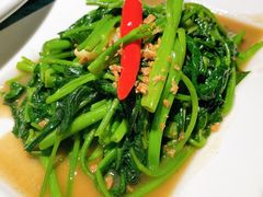 秘制虾酱炒空心菜-帕蓝·暹罗料理(曲阳店)