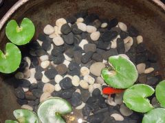 -曲水兰亭(北京四惠店)