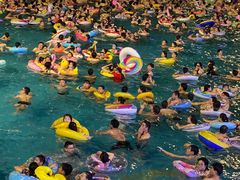 -重庆海昌加勒比海水世界