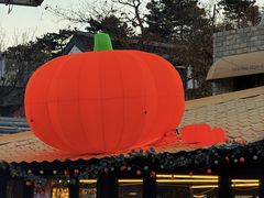 -京北渔家傲