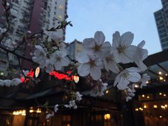 景观位-玛格萝妮比萨屋(四平店)