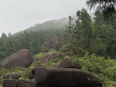 -玉苍山国家森林公园