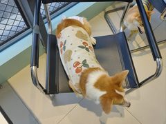 -怪兽屋·羊驼·猫咖·狗咖(俊华广场店)